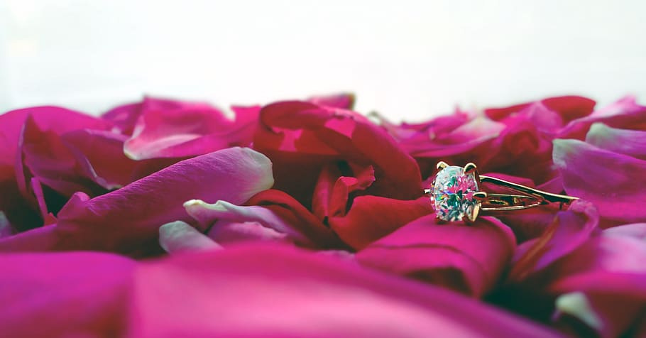 Ring, Wedding, Light, Soft, Roses, Gold, crystal, flower, petal HD wallpaper