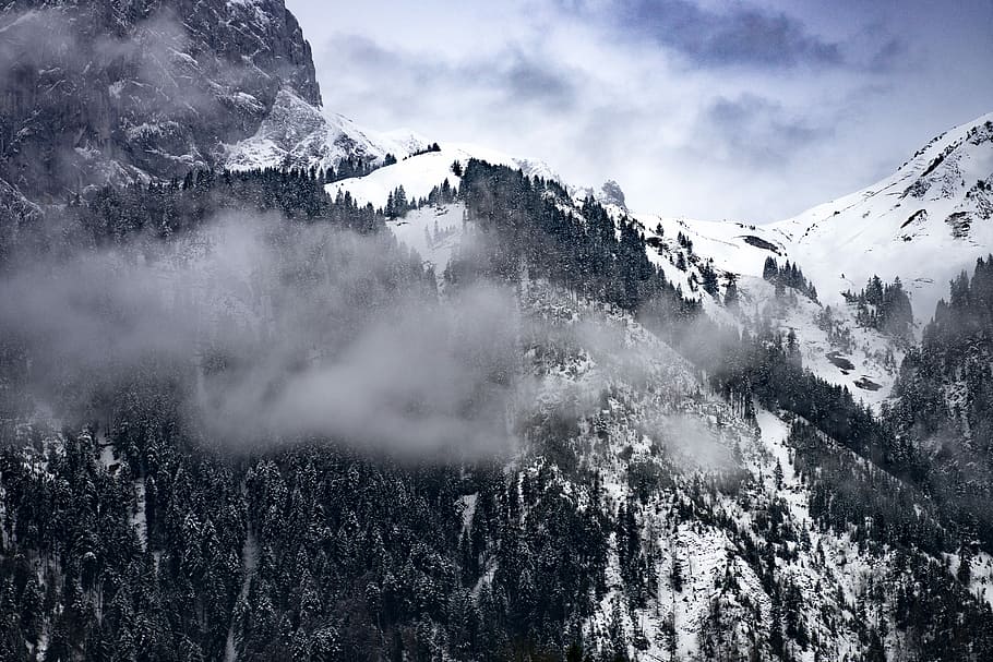 mountains with white snow and fog during daytime, green pine trees on mountain at daytime in aerial view HD wallpaper
