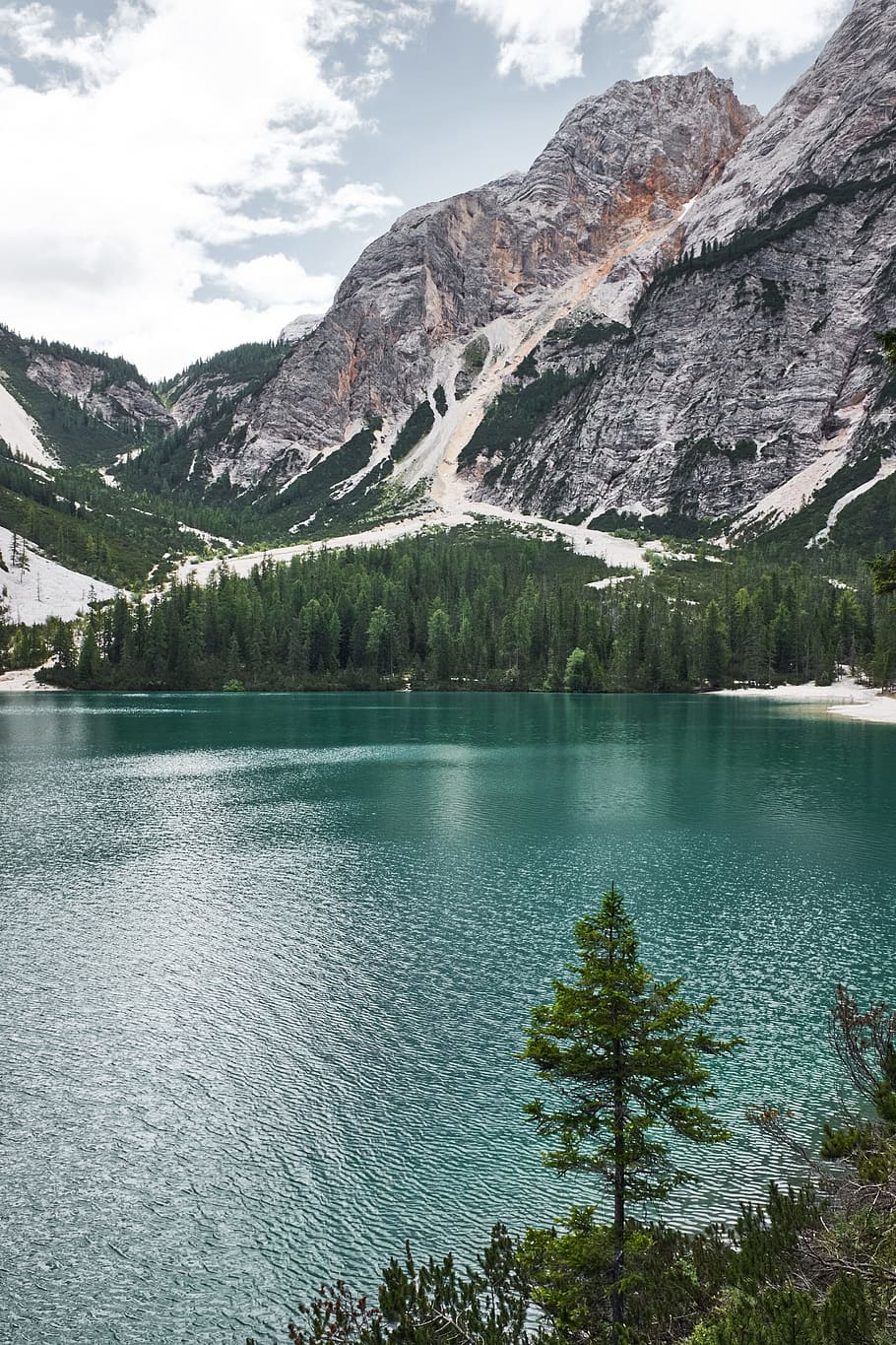photo of trees near body of water, body of water beside mountain HD wallpaper