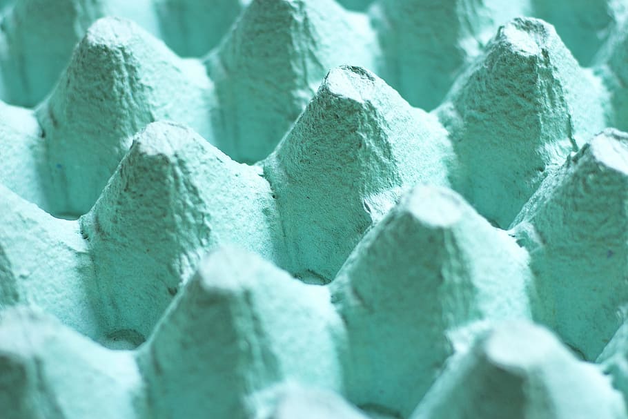 box, egg, green, backgrounds, close-up, full frame, green color HD wallpaper
