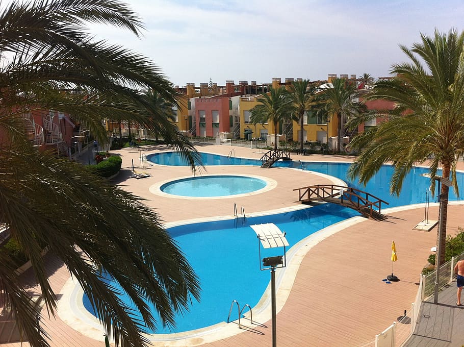 pool, summer, blue, holiday, palm tree, tropical climate, architecture HD wallpaper