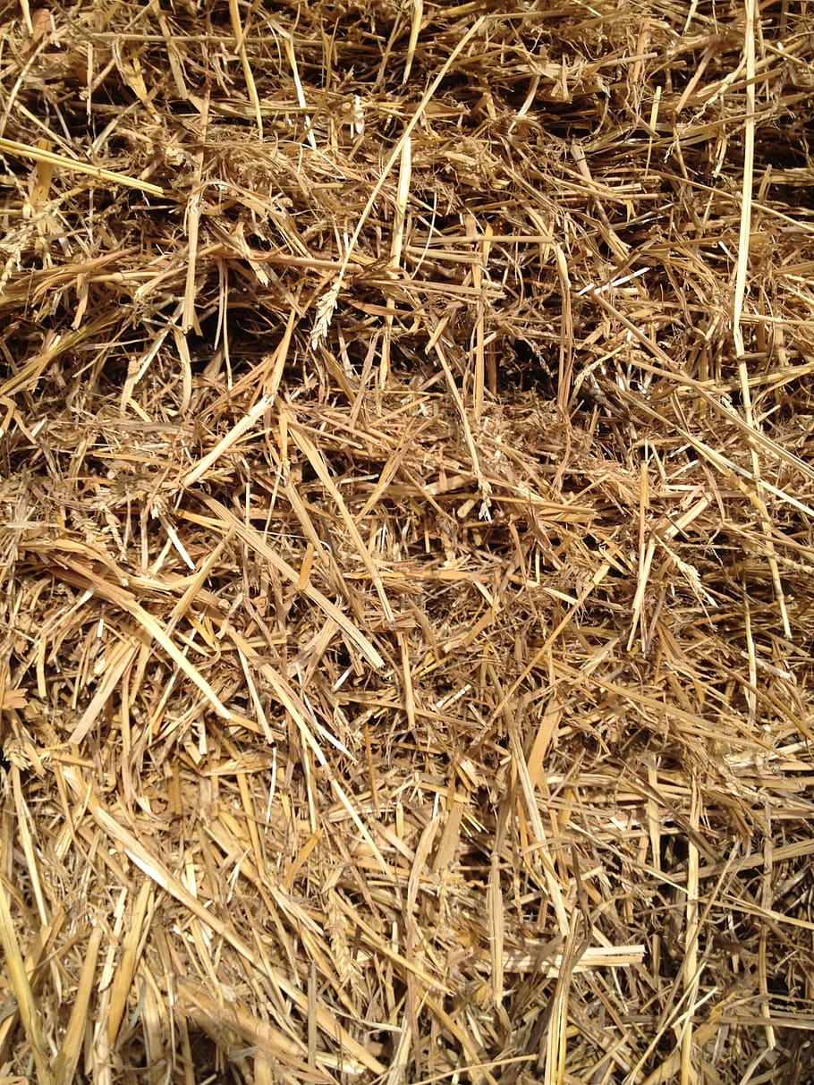 straw, grass, grain, hay, bale, haystack, nature, agriculture HD wallpaper