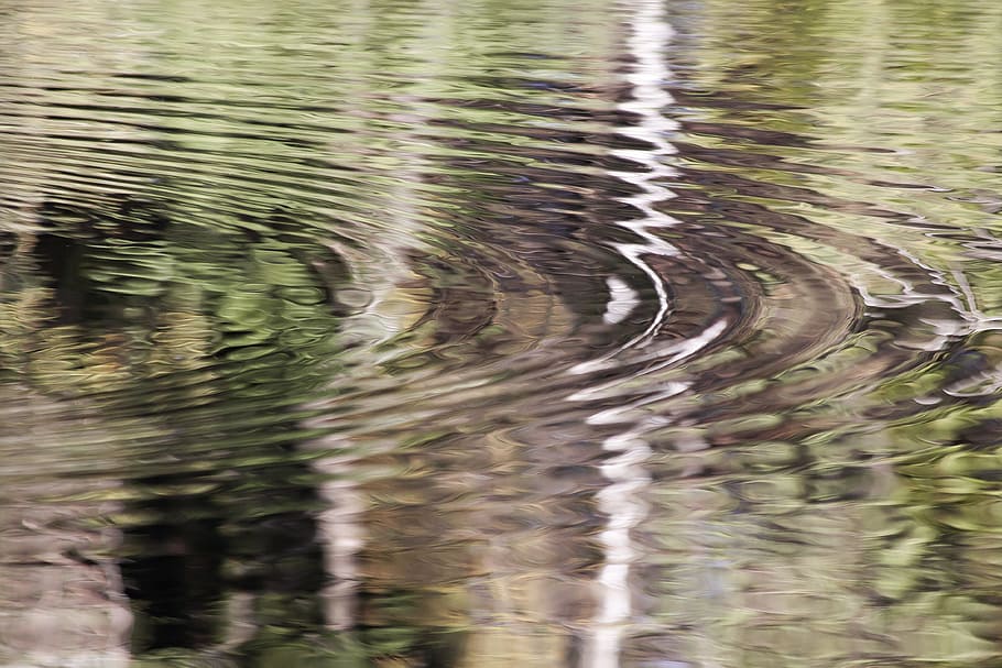 ripples of water, mirroring, fund, background, structure, concentric HD wallpaper