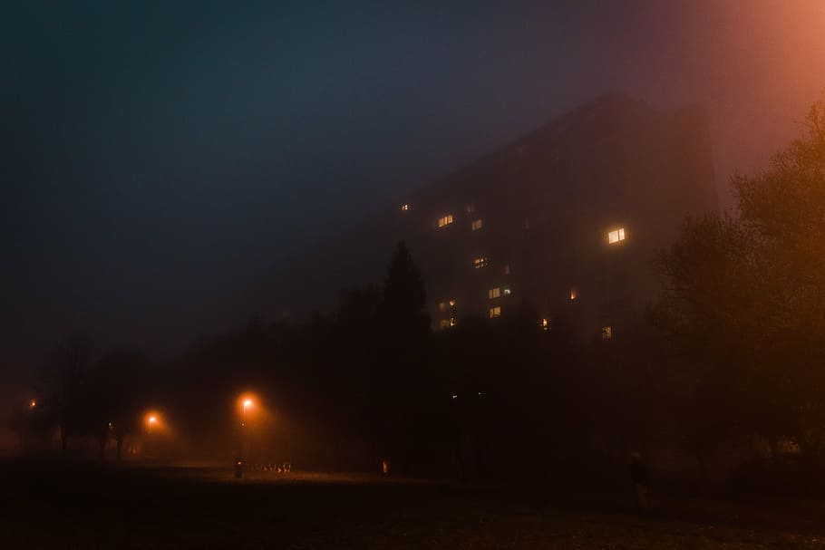 white building with fog, yellow, street, light, nighttime, architecture HD wallpaper