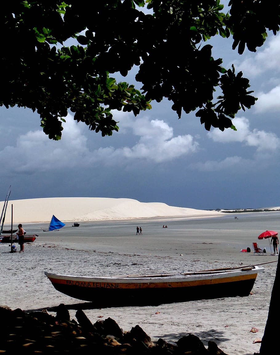 canoe, mar, beach, water, sky, tree, cloud - sky, nautical vessel HD wallpaper