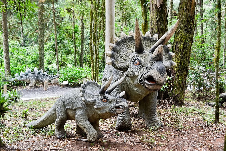 Dinosaur, Robot, Jurassic, animal wildlife, animals in the wild HD wallpaper