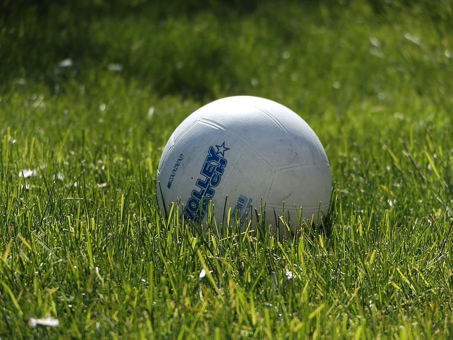 ball, round, grass, green, games, nature, field, garden, spring HD wallpaper