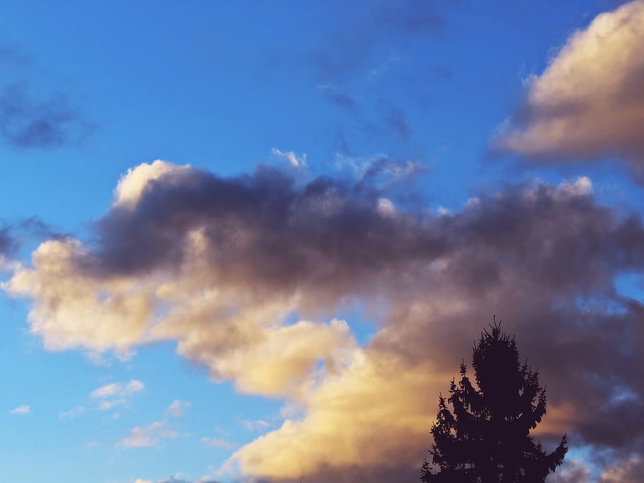 clouds, sky, blue, tree, silhouette, fir, conifer, mood, clouds form HD wallpaper