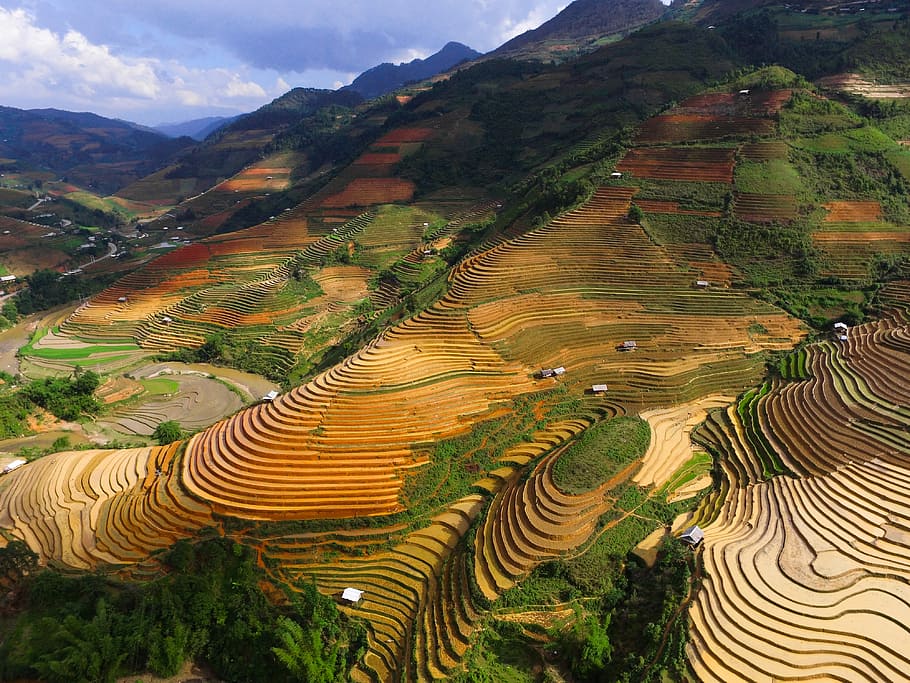 rice terraces during daytime, photo of rice plantation, mountain HD wallpaper