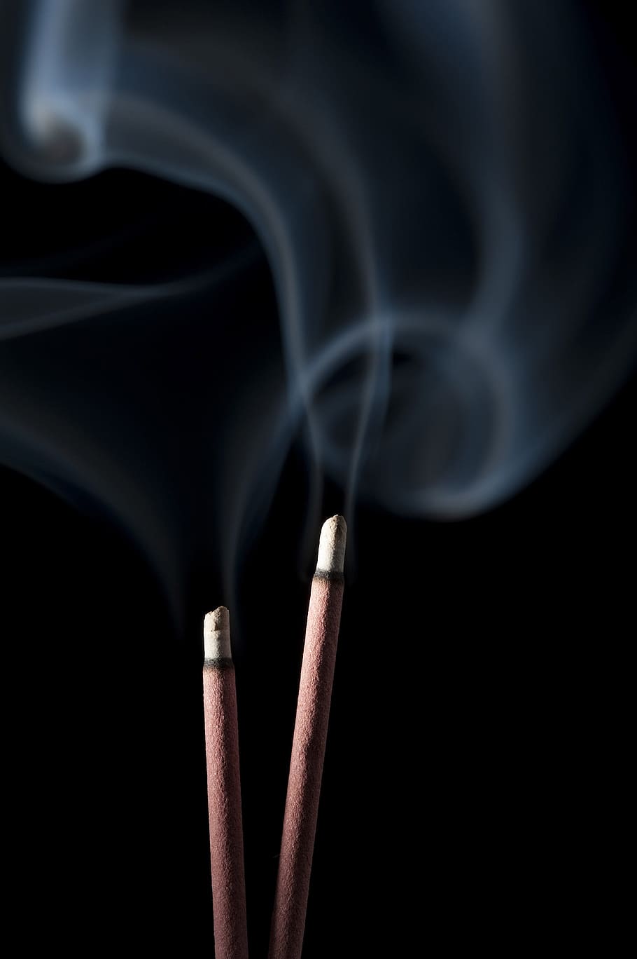 smoke, holly, black background, smoke - physical structure HD wallpaper
