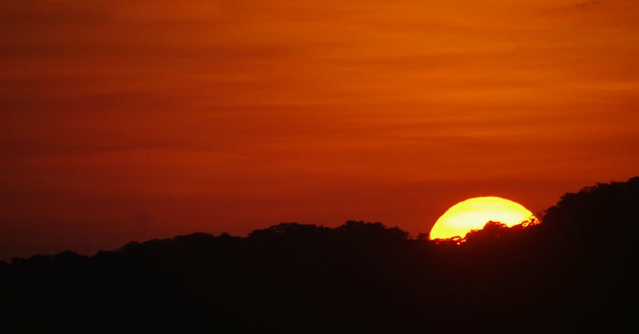 sunset, duck, sky, silhouette, beauty in nature, scenics - nature HD wallpaper