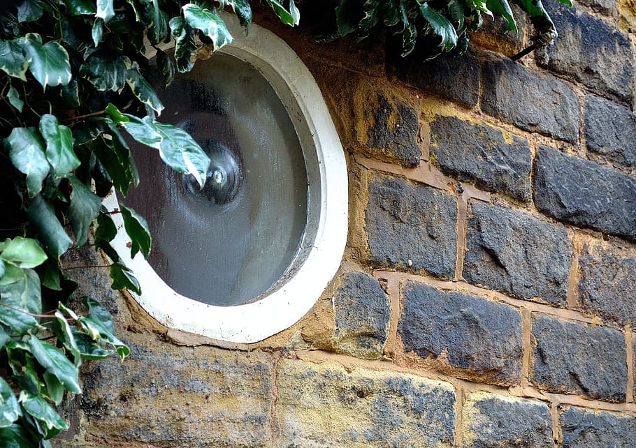 window, round, wall, ivy, background, architecture, united, HD wallpaper