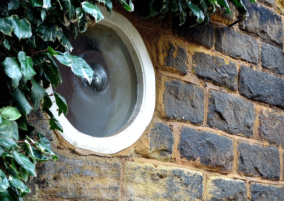 window, round, wall, ivy, background, architecture, united HD wallpaper