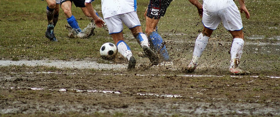 people playing football, soccer, feet, sport, field, player, grass