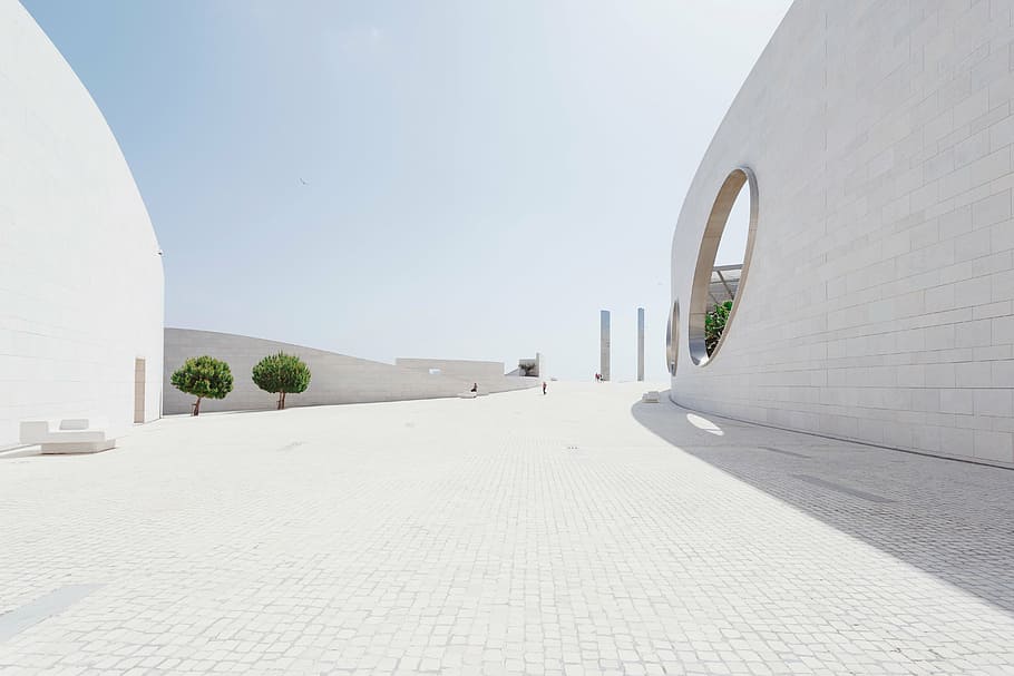 plants near wall, architecture, white, buildings, infrastructure HD wallpaper