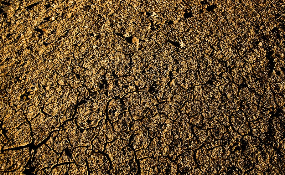 brown sand, texture, earth, drought, nature, cracks, soil, field, HD wallpaper