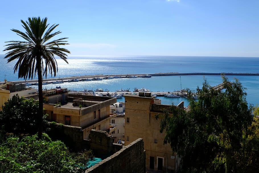 sea, sciacca, landscape, sicily, tree, water, palm tree, sky HD wallpaper