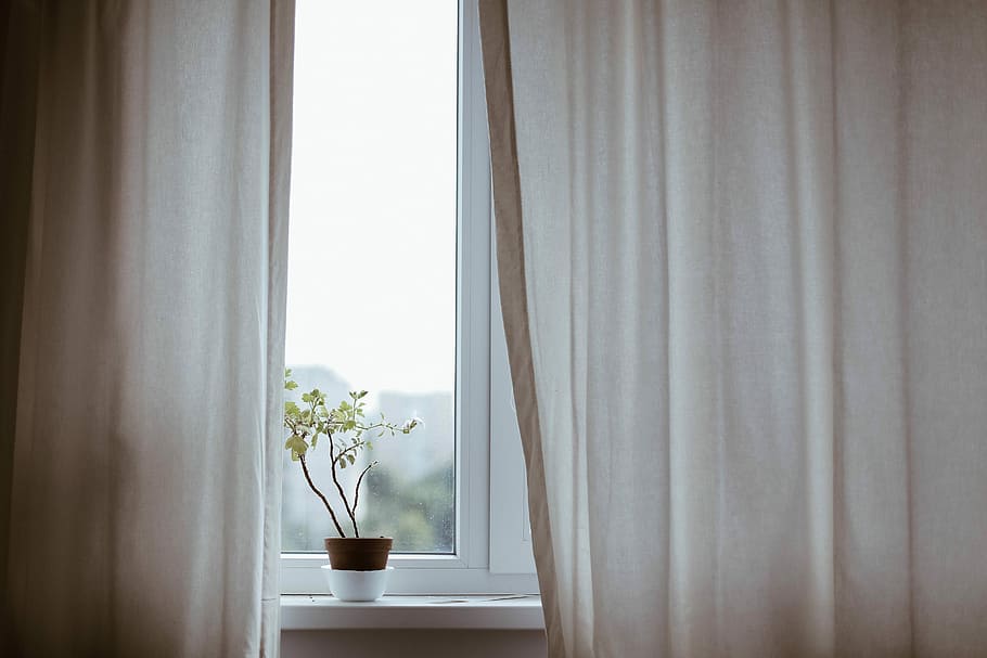 potted plant on window with curtain, green potted plant placed on window pane between brown curtains HD wallpaper