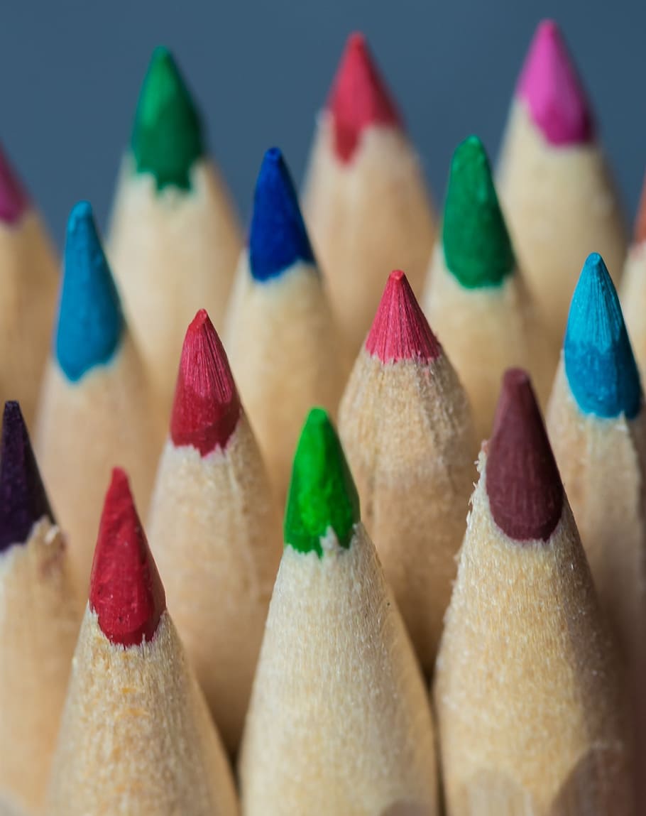 assorted-color colored pencil close up photo, spruce, background HD wallpaper