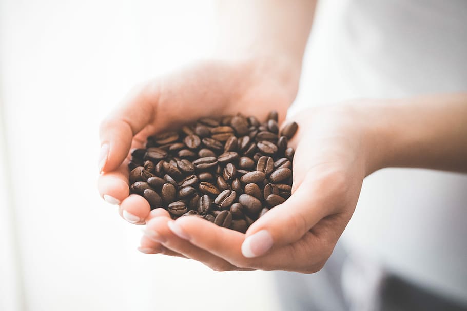 Woman Holding Handful of Roasted Coffee Beans, brown, cafe, caffeine