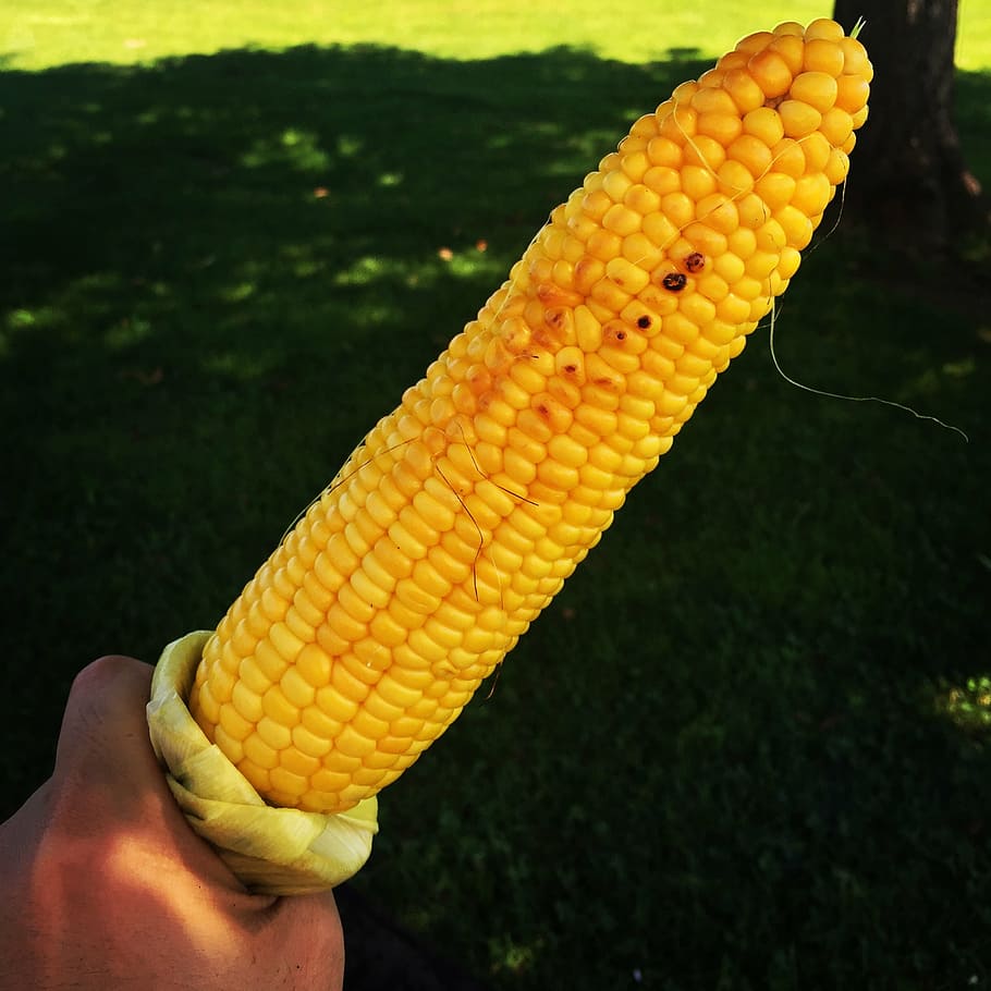 summer, cone, snack, hood, human body part, human hand, yellow HD wallpaper