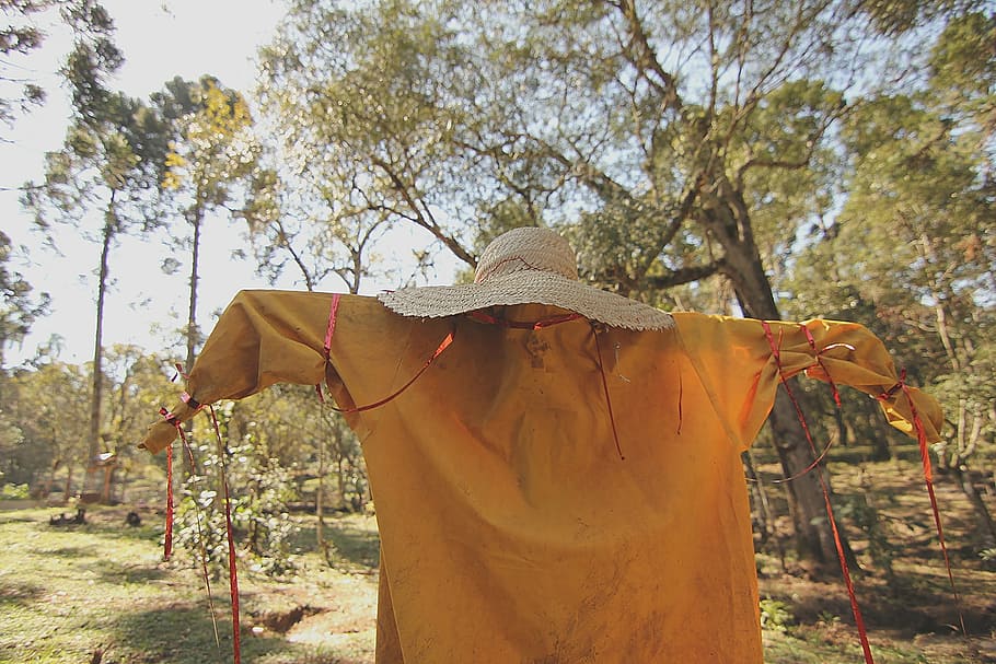 scarecrow, farm, site, nature, outdoors, people, tree, hat HD wallpaper