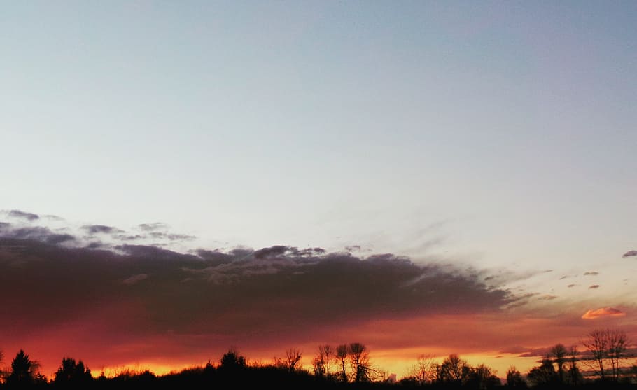 clouds, sky, sunset, sunrise, trees, dark, cloud - sky, scenics - nature HD wallpaper