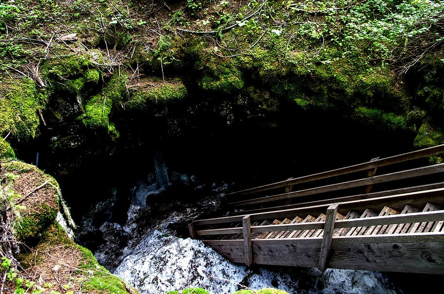 cave, underground, ice cave, tree, plant, railing, forest, nature HD wallpaper