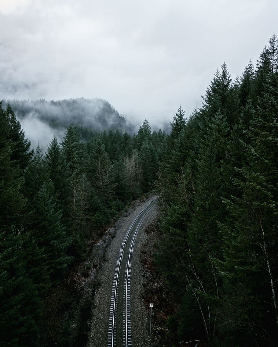 aerial view photography of pine trees during daytime, train railway in the middle HD wallpaper
