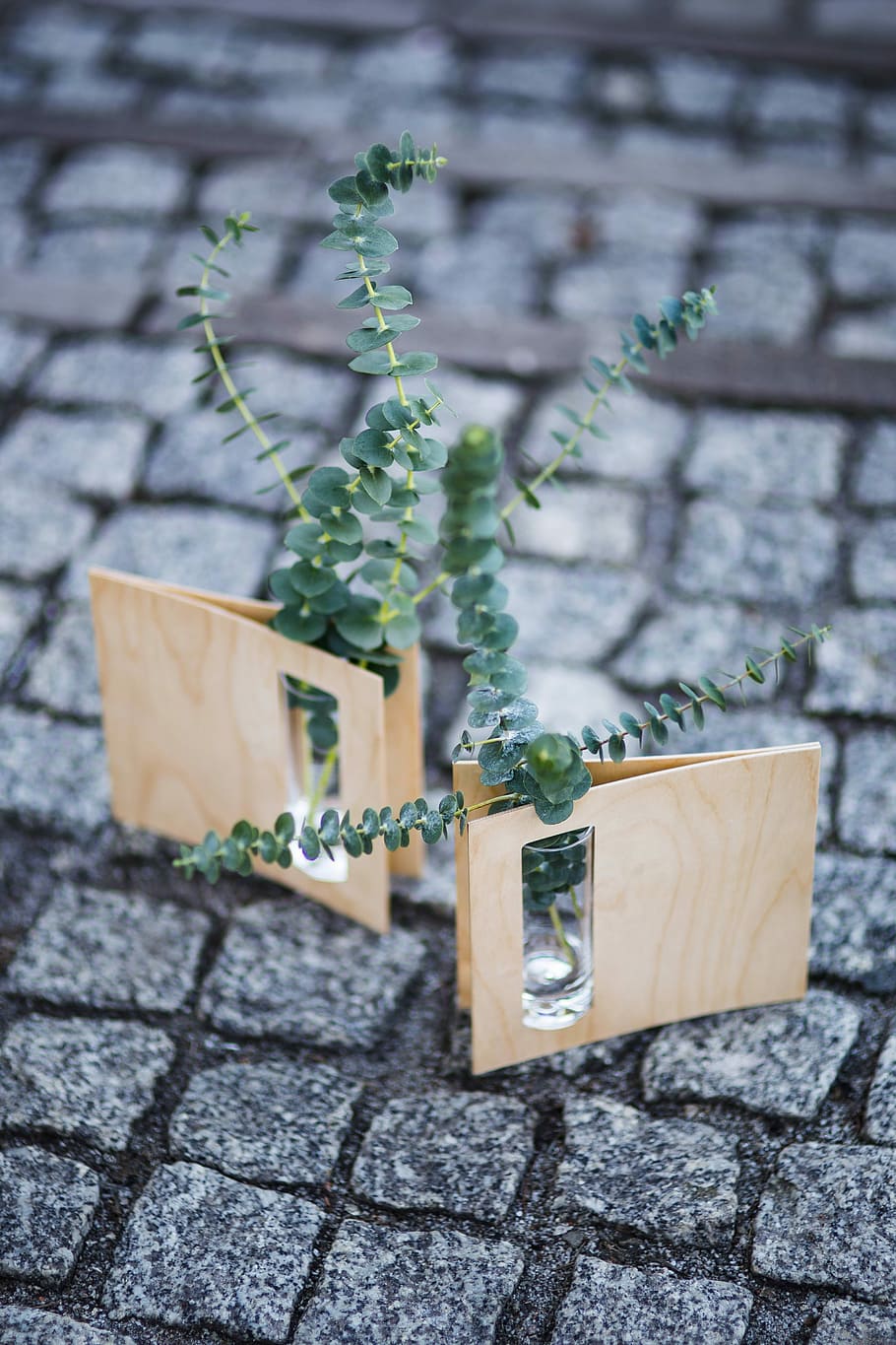 Miniature green plants in small glasses on cobblestone, bricks, HD wallpaper