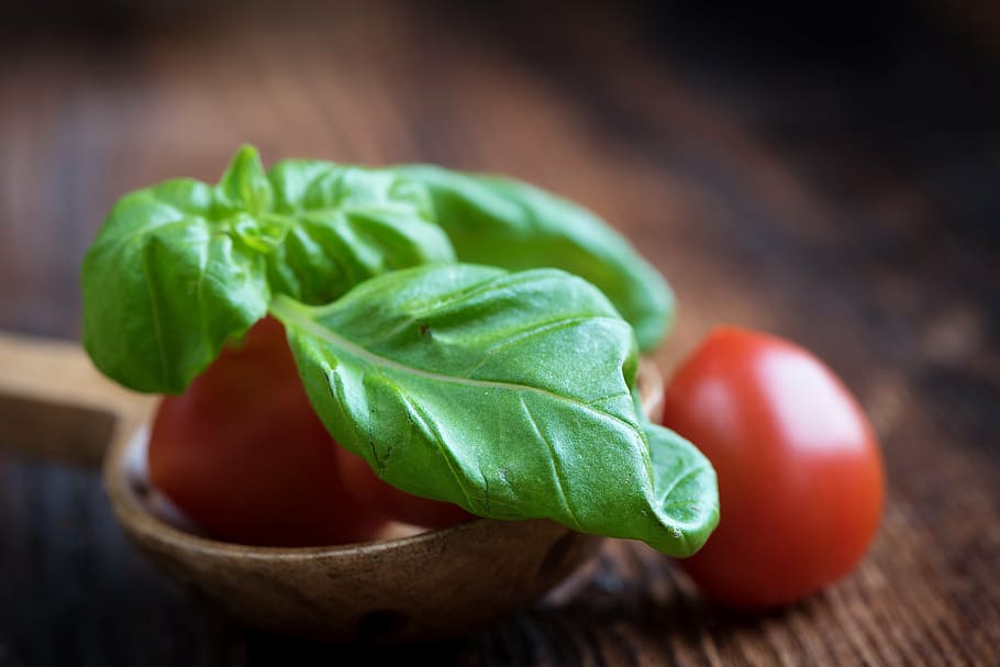 tomatoes and spinach, basil, green, spice, plant, herbs, food, HD wallpaper
