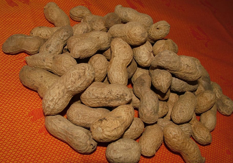 Peanuts, Snack, Organic, Nutrition, natural, raw, protein, healthy HD wallpaper
