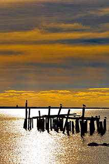 birds on top of woods, Island, Tower, Coast, Shore, Nautical HD wallpaper