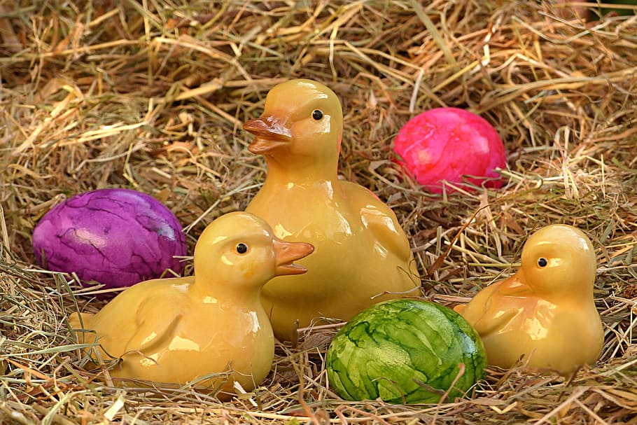 easter, easter eggs, figure, deco, spring, bird, animal themes HD wallpaper