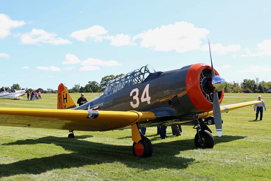 warbird, airplane, aviation, propeller, vintage, fighter, flight HD wallpaper