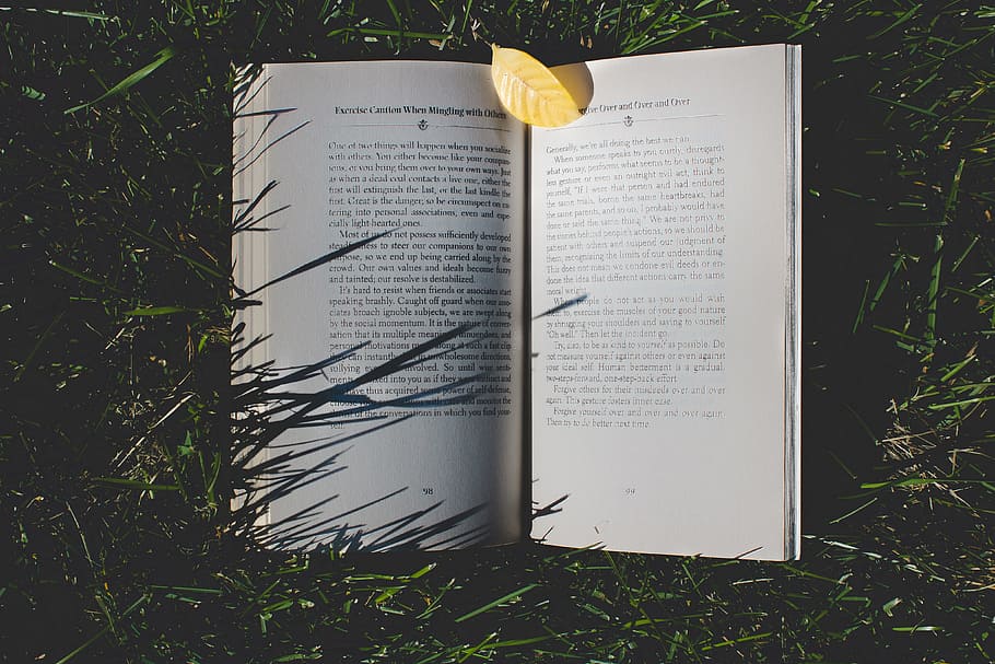 Open book resting in the grass, various, books, leaf, leaves HD wallpaper