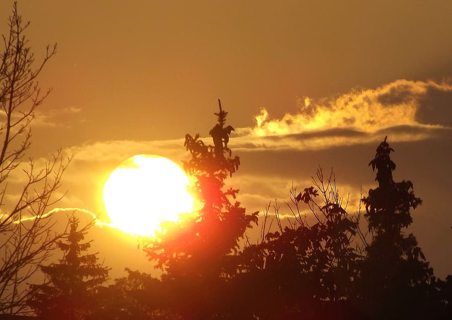 sunset, sky, clouds, evening, view, tree, cloud - sky, nature HD wallpaper
