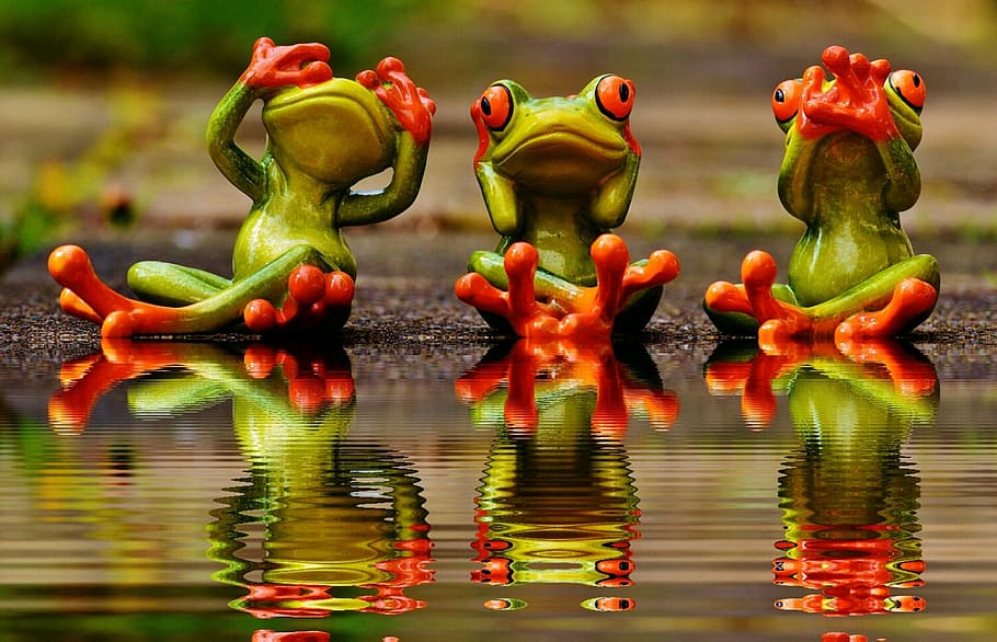 three green frogs on body of water, not see, not hear, do not speak