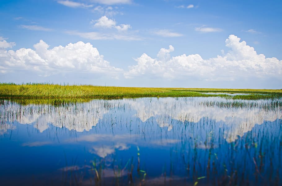 miami, usa, everglades, river, water, sky, mirroring, beauty in nature