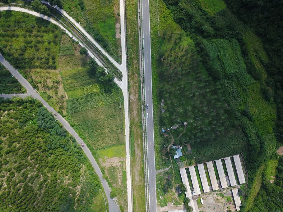 the route, gray concrete road, aerial view, green, grass, tree HD wallpaper