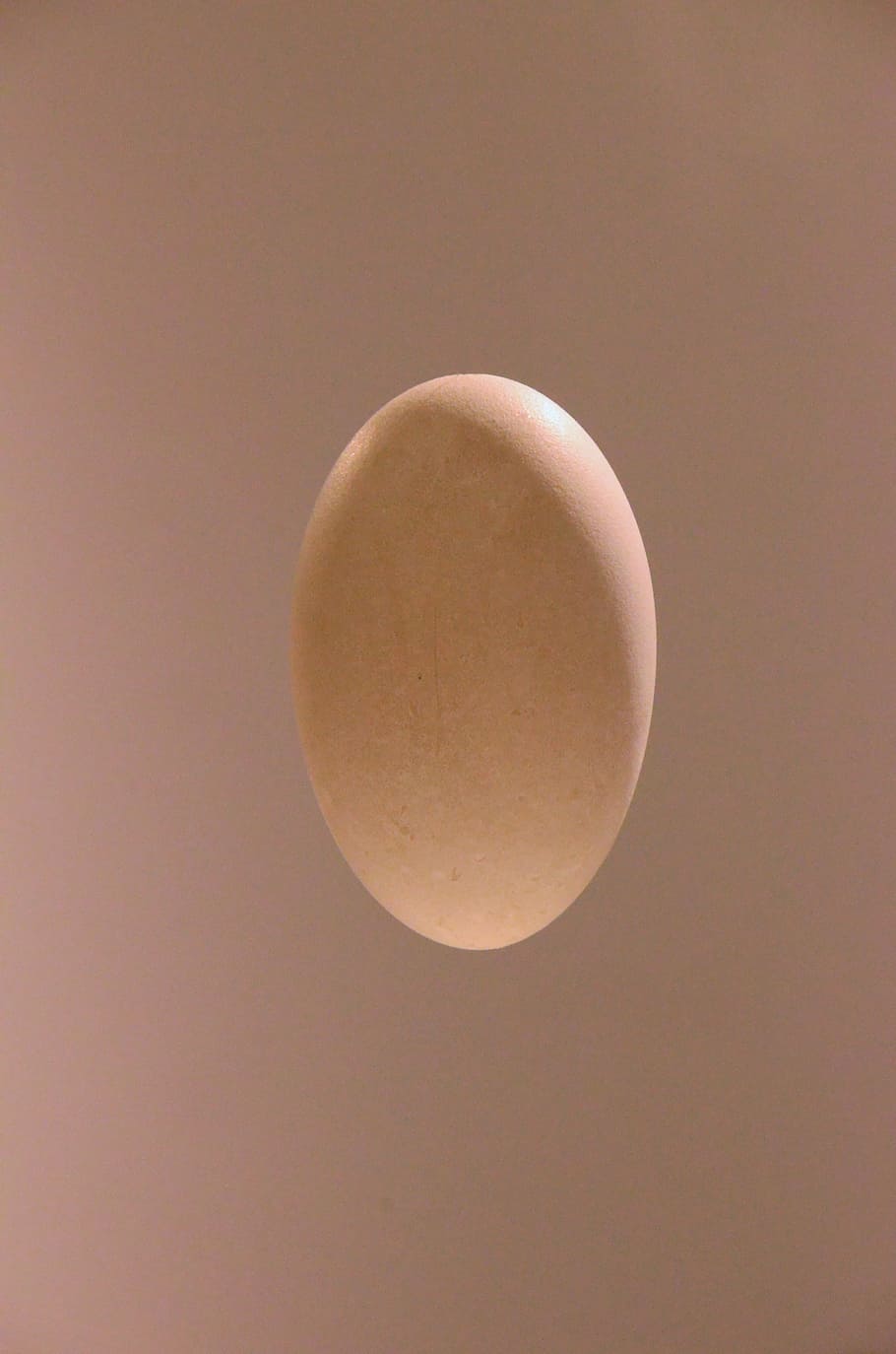Egg, Oval, Taupe, Space, Light, Shadow, easter, drink, food and drink HD wallpaper