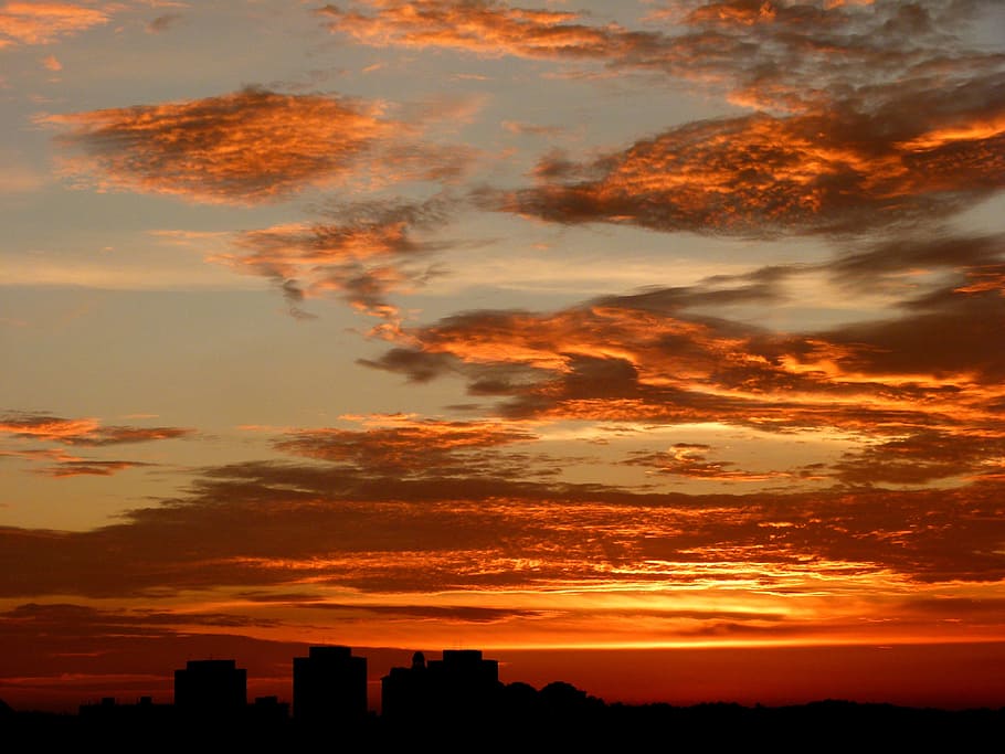 Orange Sky during Dawn, buildings, city, clouds, dusk, silhouette HD wallpaper