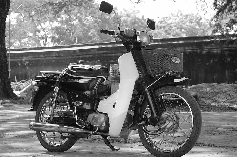moped, lonely, only, transportation, mode of transportation HD wallpaper