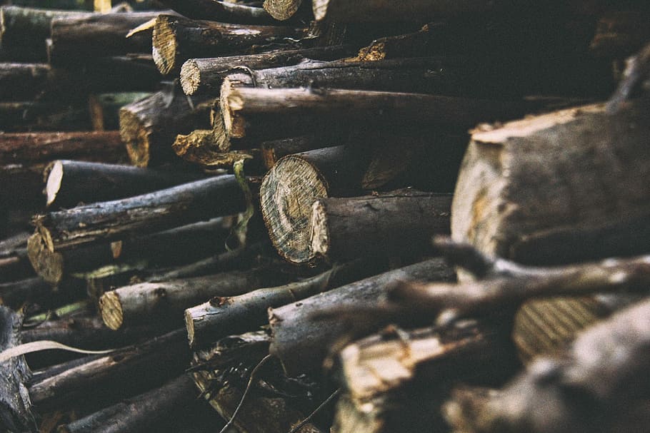 pile of firewood, brown chopped tree logs during daytime, stack HD wallpaper