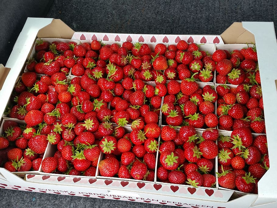 Strawberry Refrigerator