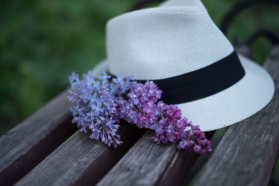 hat, lilac, bench, flower, flowering plant, wood - material HD wallpaper