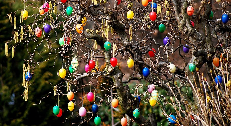 easter, bush, garden, easter eggs on tree, easter decorations HD wallpaper