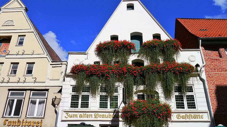 Lüneburg, Home, Architecture, Building, house facade, stadtmitte, HD wallpaper