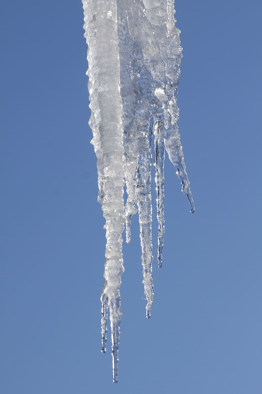 pointed ice, icicle, cold, winter, white, blue, frost, snow HD wallpaper