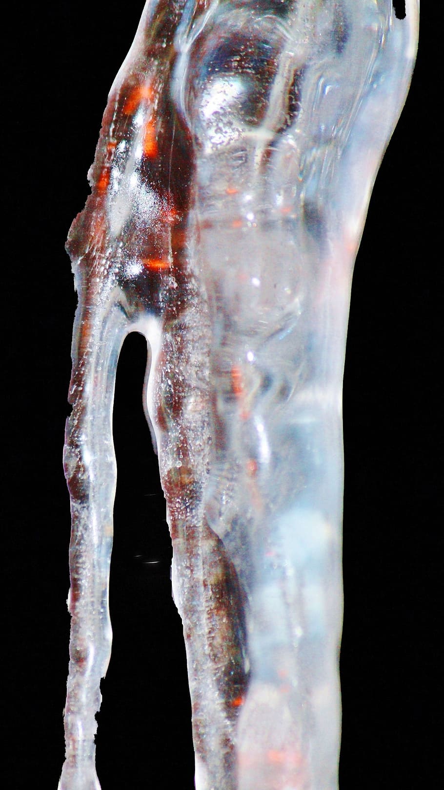 icicle, cold, ice, frozen, branch, icy, frost, frosty, on frozen HD wallpaper